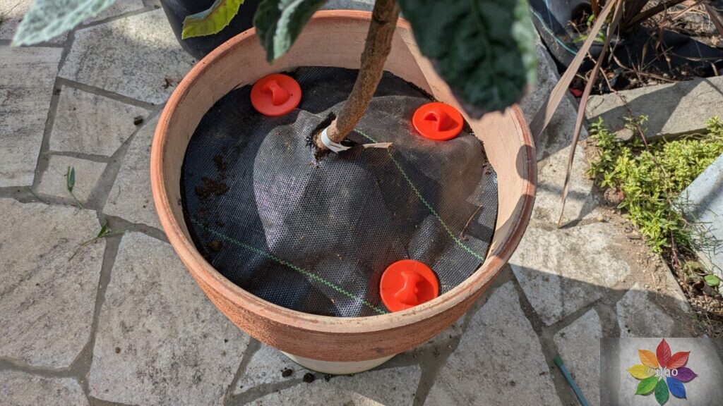 防草シート 鉢 施工