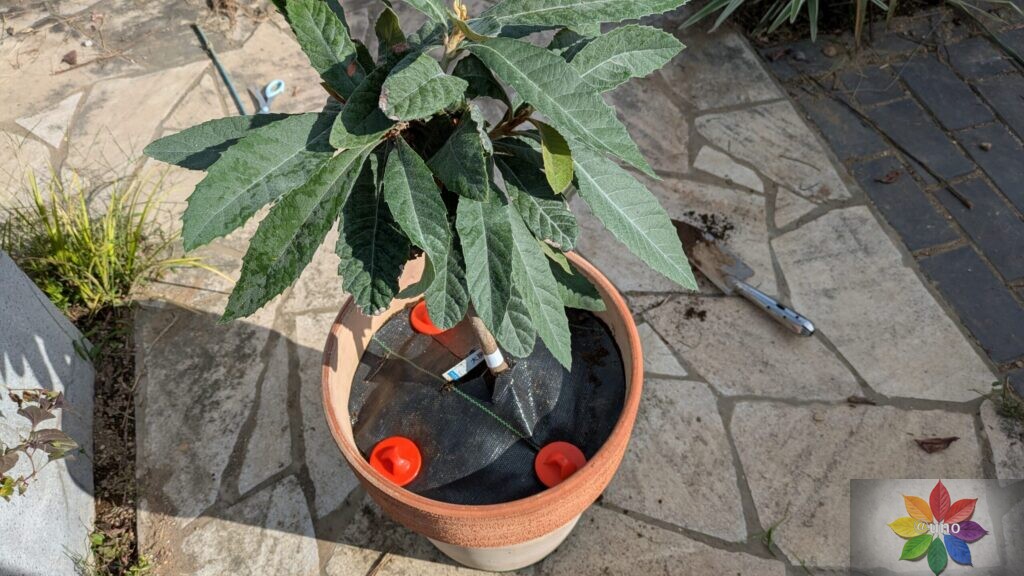 防草シート 鉢 施工