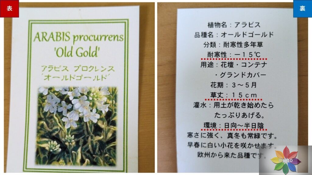 植物ラベル