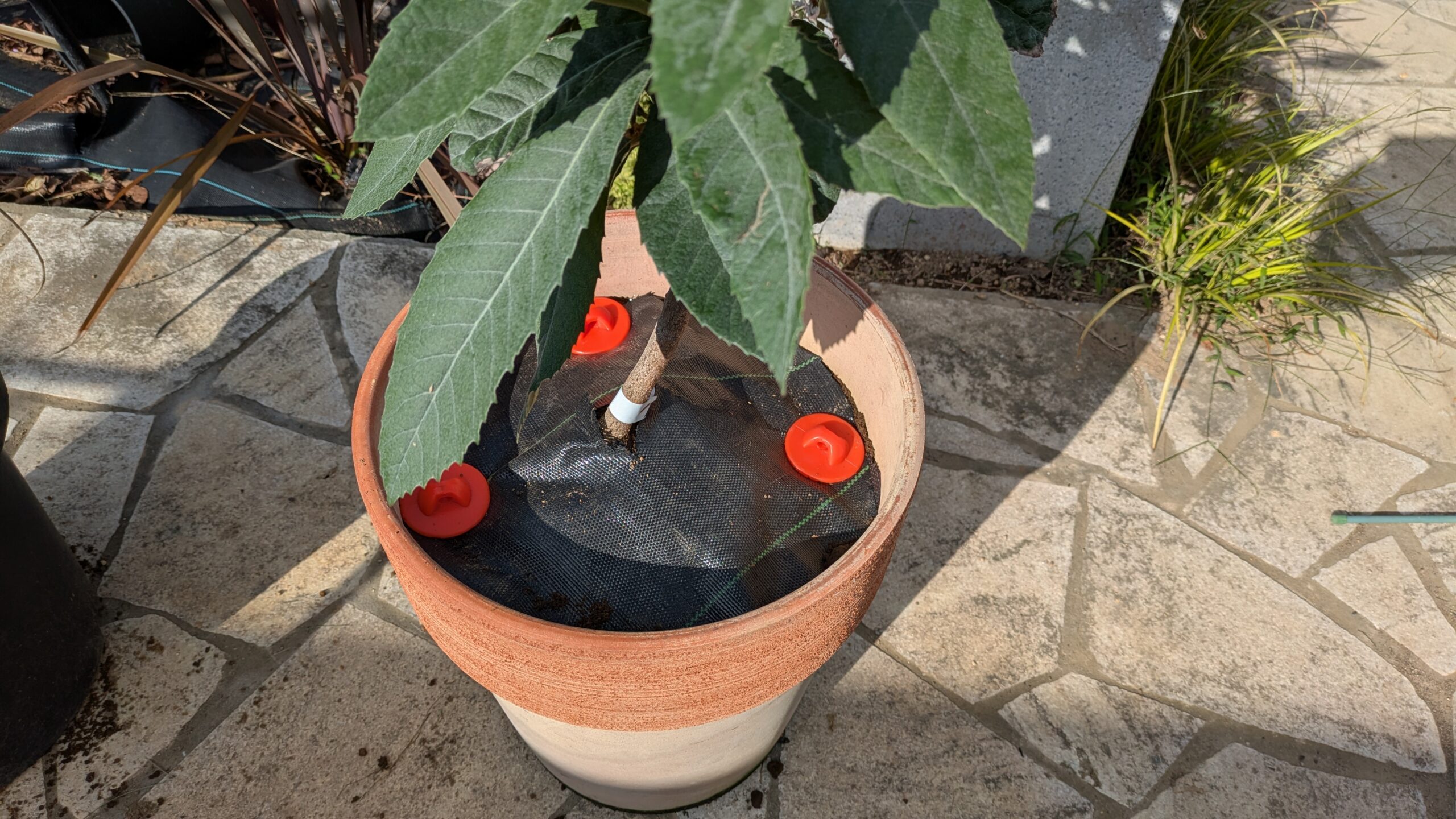 防草シート　鉢　施工