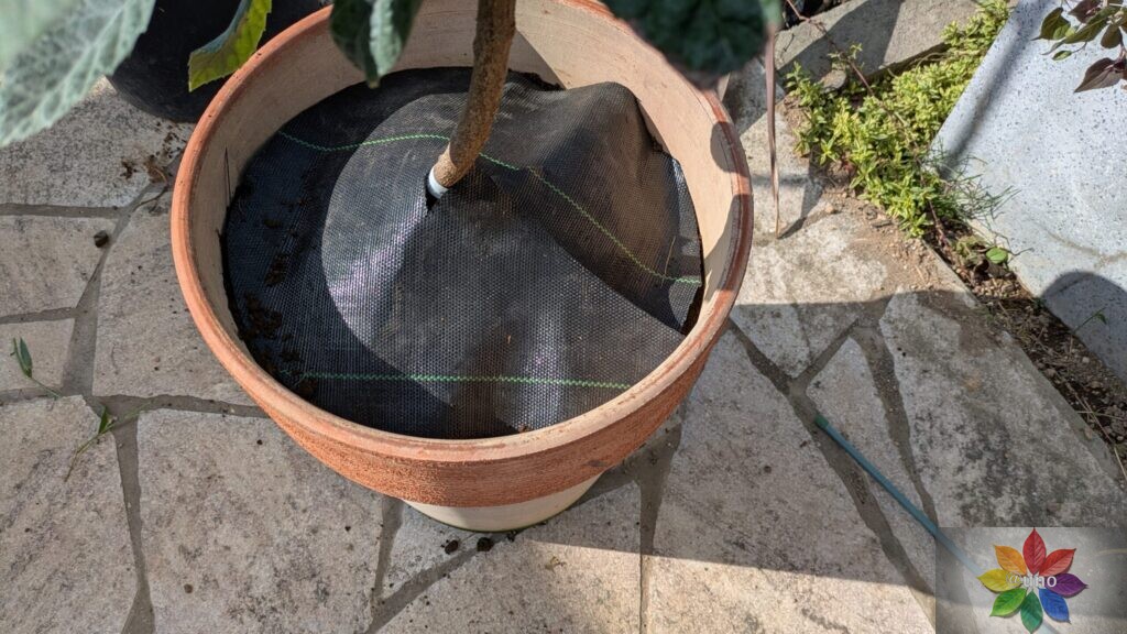 防草シート 鉢 施工