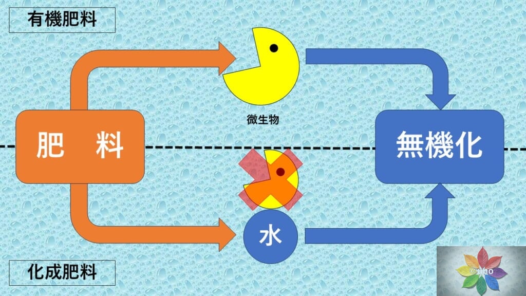 無機化 説明資料